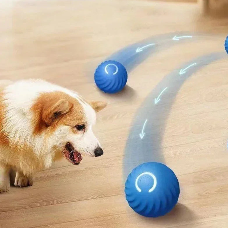 Balle Intelligente pour Chien