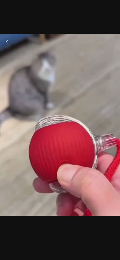 Boule intelligente pour chat